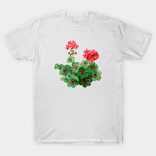 August 11th birthday flower T-Shirt